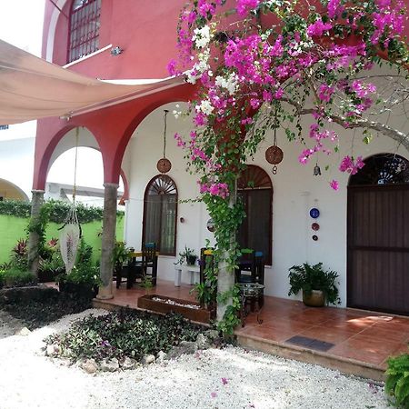 ホテルCasita Rustica En La Selva カンクン エクステリア 写真