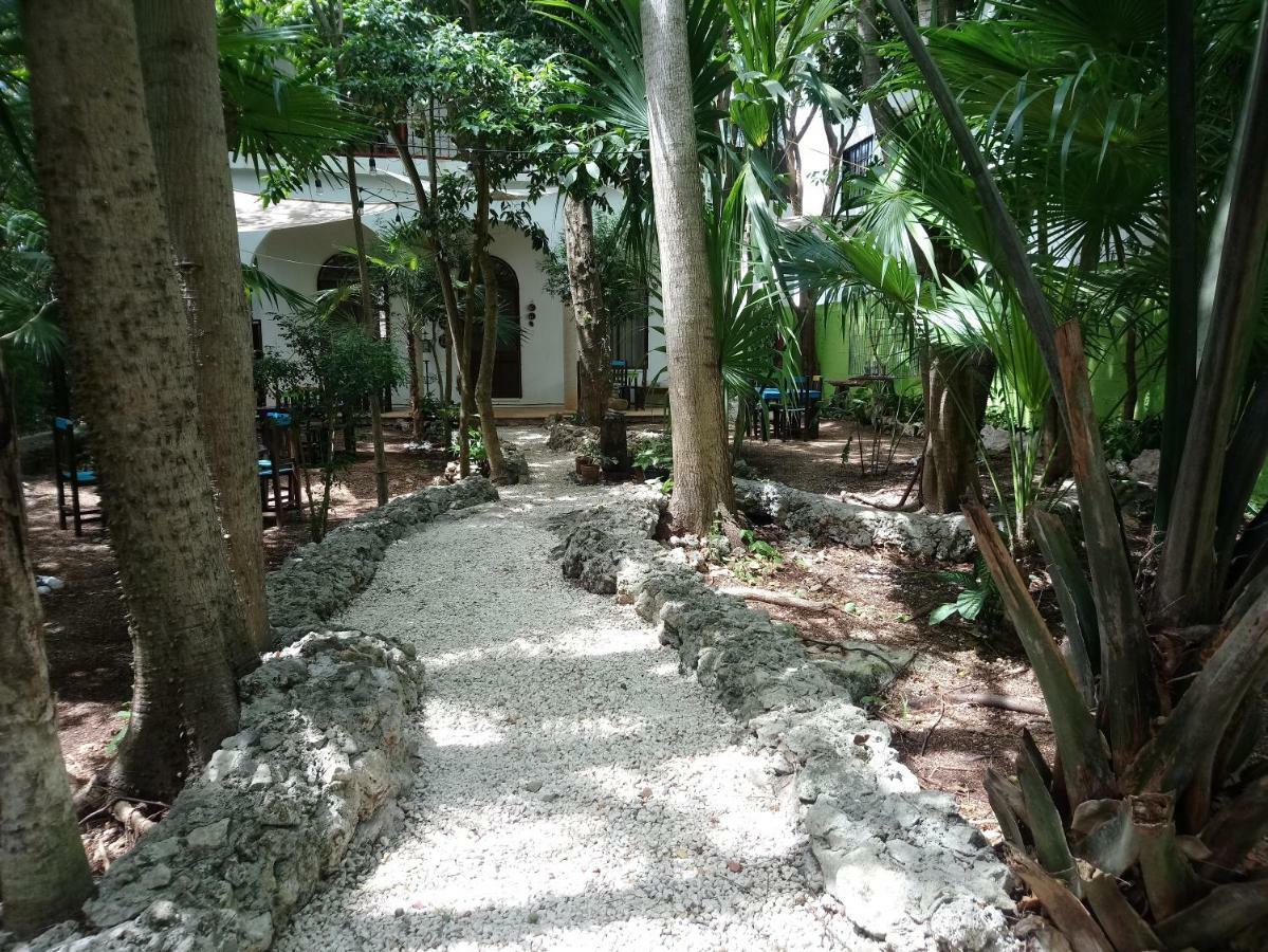 ホテルCasita Rustica En La Selva カンクン エクステリア 写真