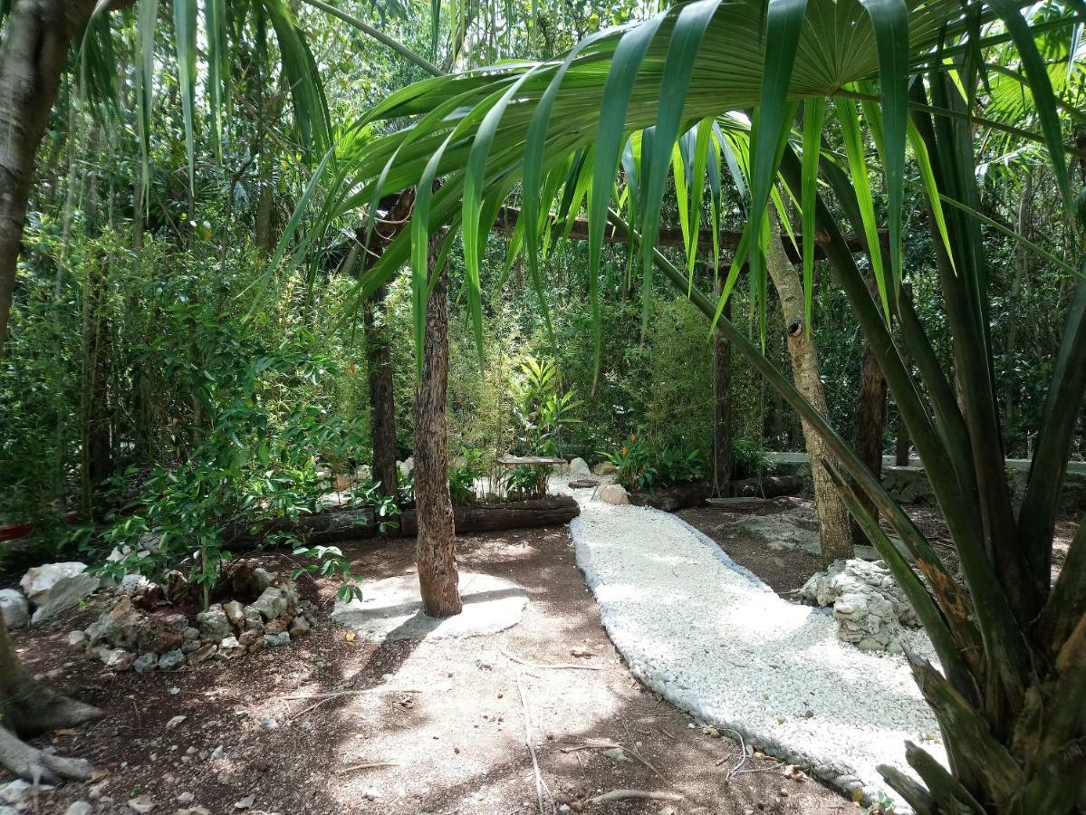 ホテルCasita Rustica En La Selva カンクン エクステリア 写真