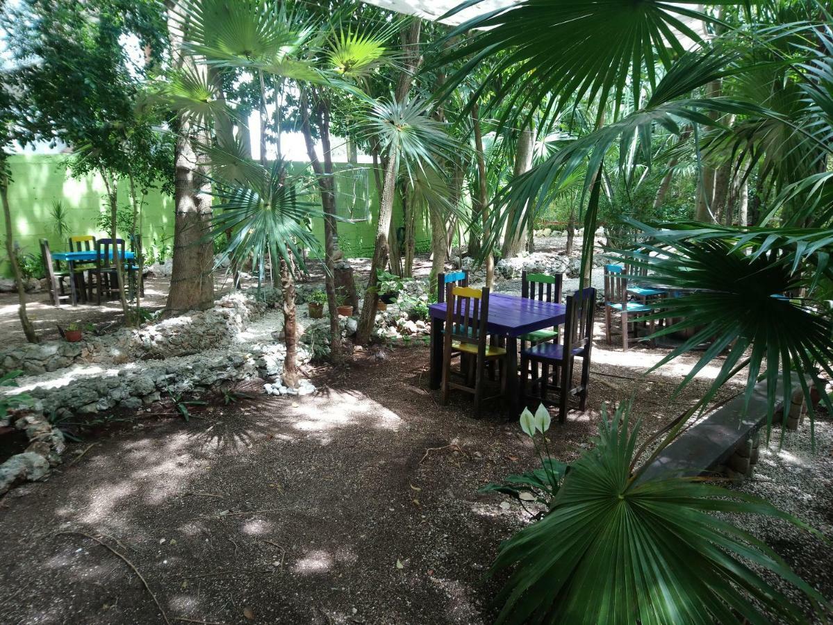 ホテルCasita Rustica En La Selva カンクン エクステリア 写真