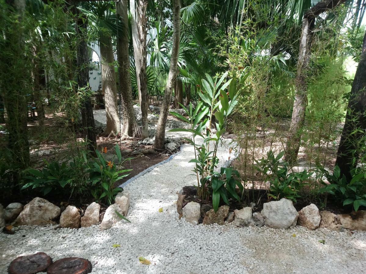 ホテルCasita Rustica En La Selva カンクン エクステリア 写真