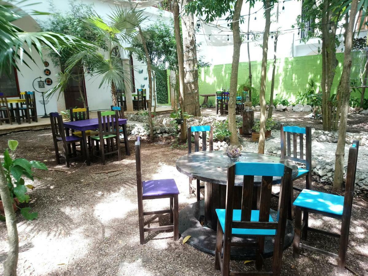 ホテルCasita Rustica En La Selva カンクン エクステリア 写真
