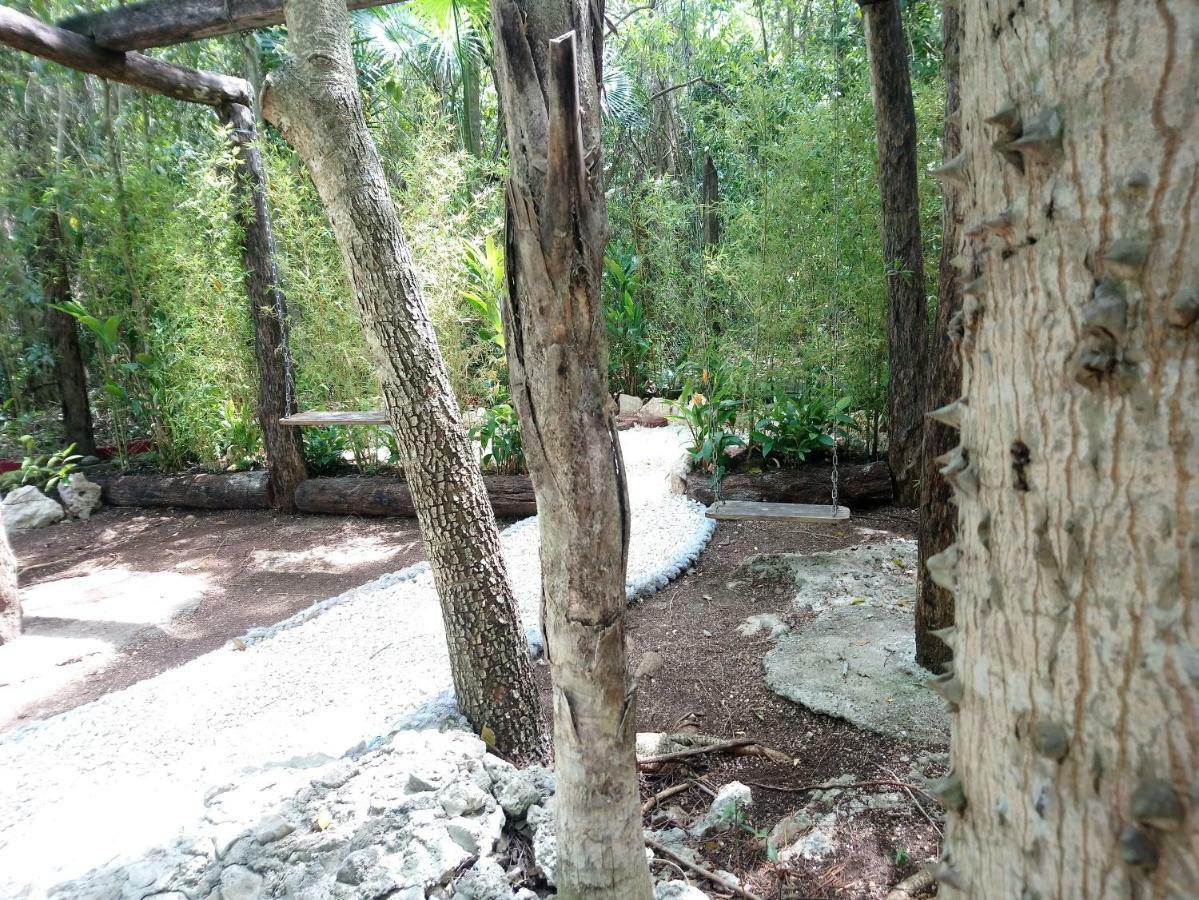 ホテルCasita Rustica En La Selva カンクン エクステリア 写真