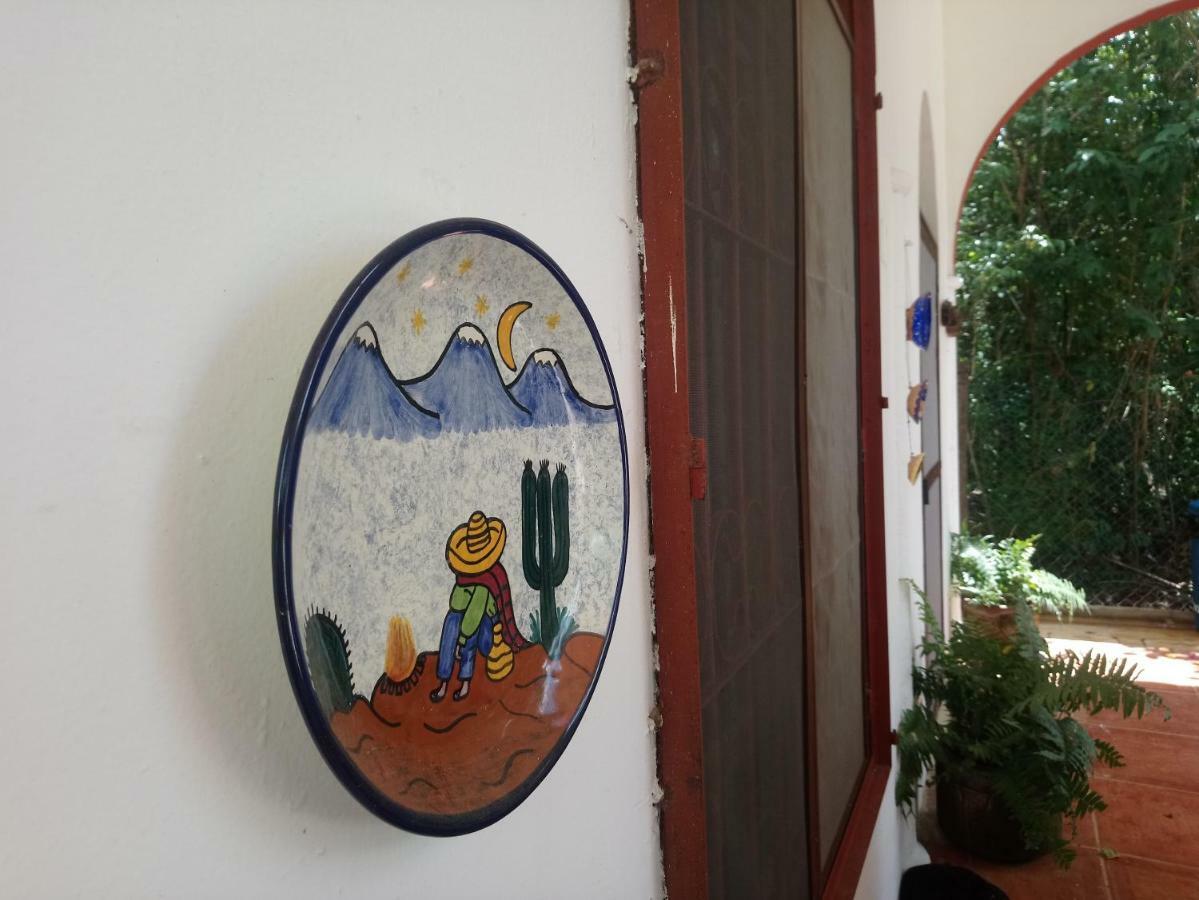 ホテルCasita Rustica En La Selva カンクン エクステリア 写真